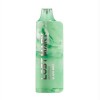 Lost Mary MO5000 Disposable Vape Device - 1PC