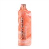 Lost Mary MO5000 Disposable Vape Device - 1PC
