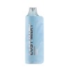 Lost Mary MO5000 Disposable Vape Device - 1PC