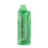 Lost Mary MO5000 Disposable Vape Device - 1PC