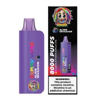 Dummy Vapes 8000 Puffs Disposable ...